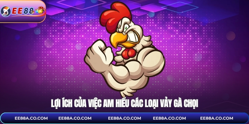 Lợi ích của việc am hiểu các loại vảy gà chọi