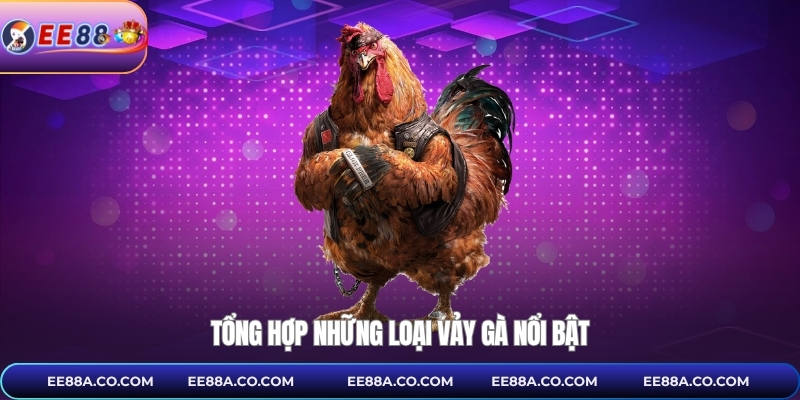 Tổng hợp những loại vảy gà nổi bật