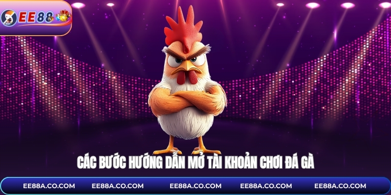 Các bước hướng dẫn mở tài khoản chơi đá gà