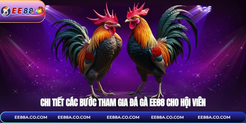 Chi tiết các bước tham gia đá gà EE88 cho hội viên