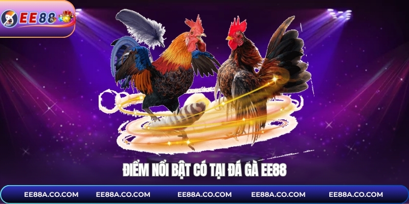 Điểm nổi bật có tại đá gà EE88 