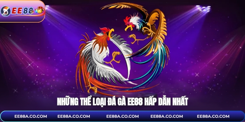 Những thể loại đá gà EE88 hấp dẫn nhất