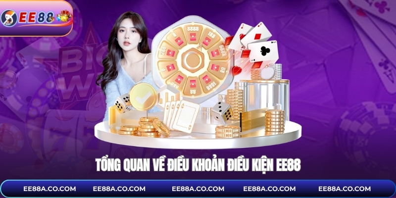 Tổng quan về điều khoản điều kiện EE88