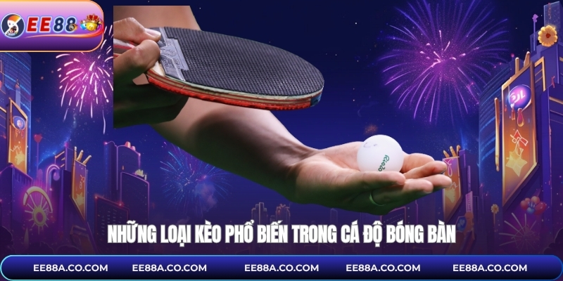 Những loại kèo phổ biến trong cá độ bóng bàn