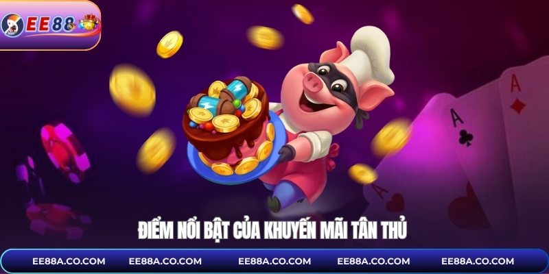 Điểm nổi bật của khuyến mãi tân thủ 