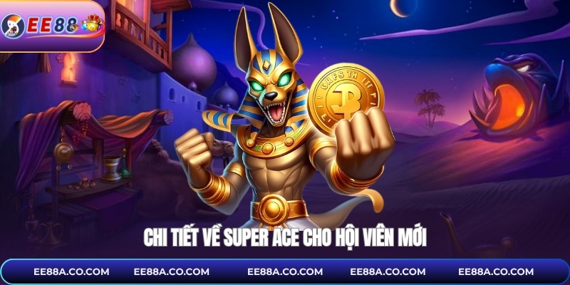 Chi tiết về Super Ace cho hội viên mới