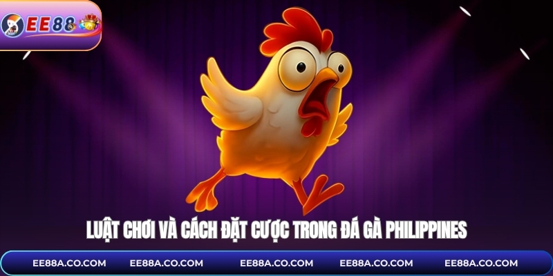 Luật chơi và cách đặt cược trong đá gà philippines