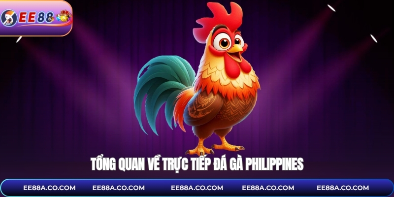 Tổng quan về trực tiếp đá gà philippines