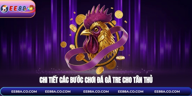 Chi tiết các bước chơi đá gà tre cho tân thủ