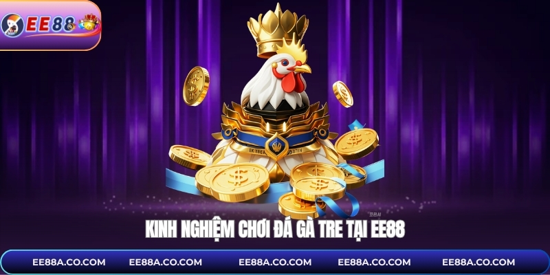 Kinh nghiệm chơi đá gà tre tại EE88