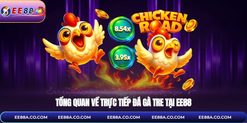 Tổng quan về trực tiếp đá gà tre tại EE88