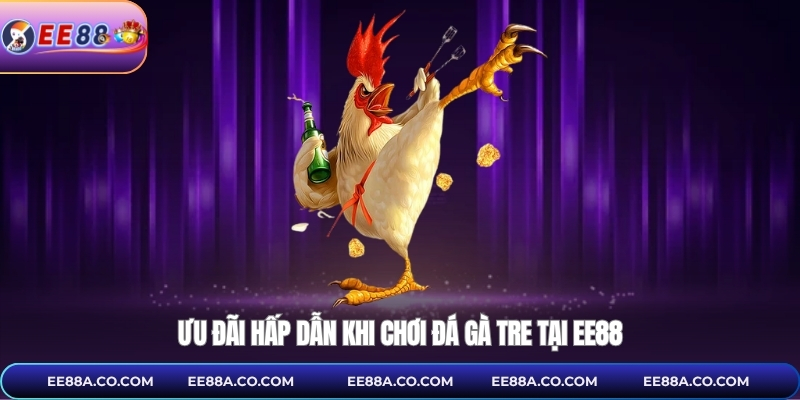 Ưu đãi hấp dẫn khi chơi đá gà tre tại EE88
