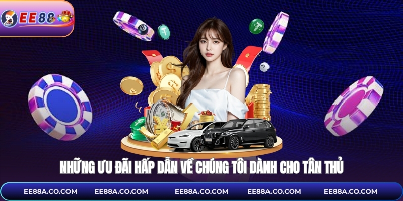 Những ưu đãi hấp dẫn về chúng tôi dành cho tân thủ